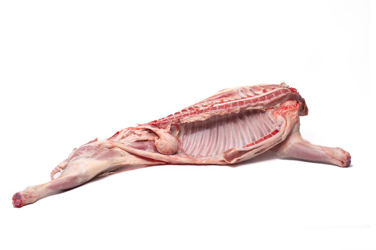 1/2 CORDERO LECHAL DE CABECERA