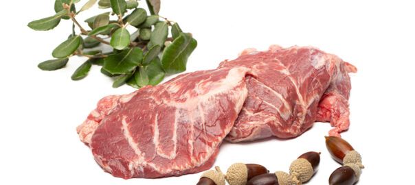 Carrillera Ibérica